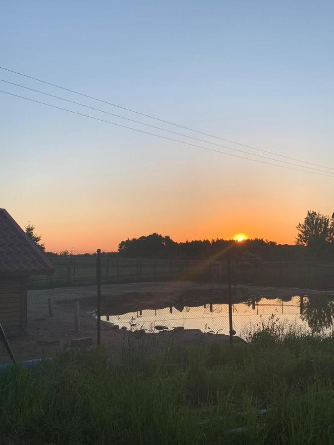 Pensjonat Przy Stajni Kierzkowo  Dış mekan fotoğraf